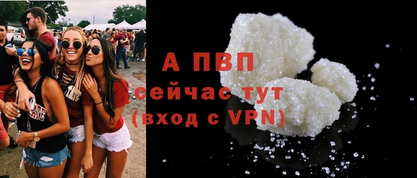 спиды Лагань