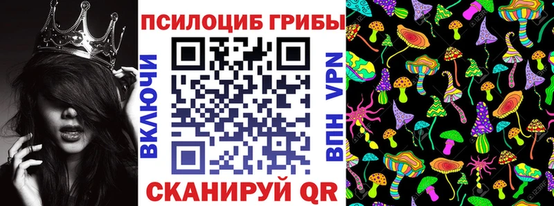 Галлюциногенные грибы Psilocybe  Купить где  Миньяр 